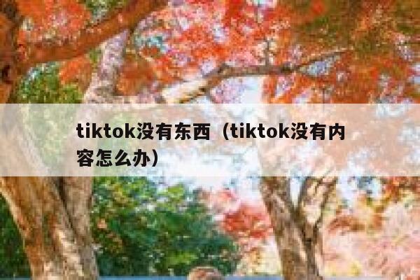 tiktok没有东西（tiktok没有内容怎么办） 第1张