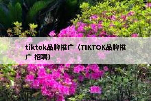 tiktok品牌推广（TIKTOK品牌推广 招聘） 第1张