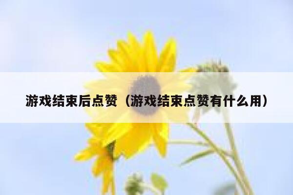 游戏结束后点赞（游戏结束点赞有什么用） 第1张