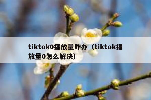 tiktok0播放量咋办（tiktok播放量0怎么解决） 第1张