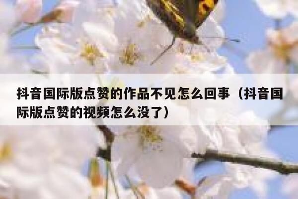 抖音国际版点赞的作品不见怎么回事（抖音国际版点赞的视频怎么没了） 第1张