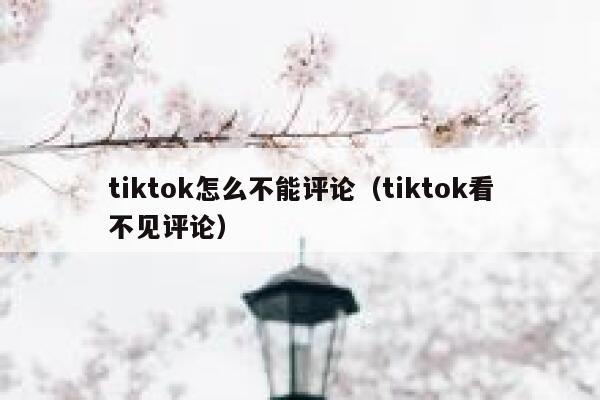 tiktok怎么不能评论（tiktok看不见评论） 第1张
