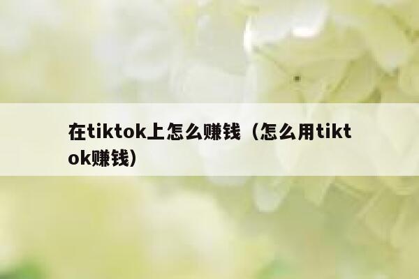 在tiktok上怎么赚钱（怎么用tiktok赚钱） 第1张
