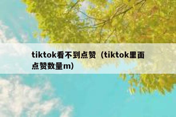 tiktok看不到点赞（tiktok里面点赞数量m） 第1张