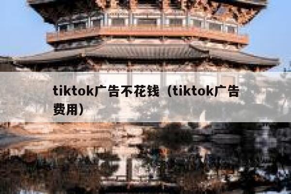 tiktok广告不花钱（tiktok广告费用） 第1张