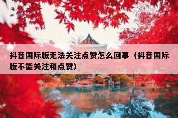 抖音国际版无法关注点赞怎么回事(抖音国际版不能关注和点赞) 第1张 抖音国际版无法关注点赞怎么回事(抖音国际版不能关注和点赞) 第1张