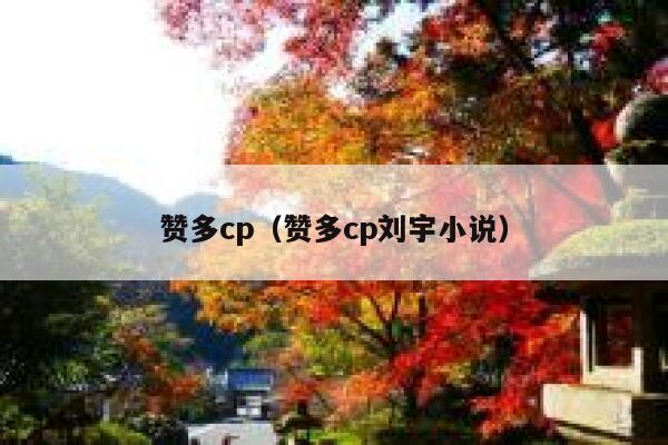 赞多cp（赞多cp刘宇小说） 第1张