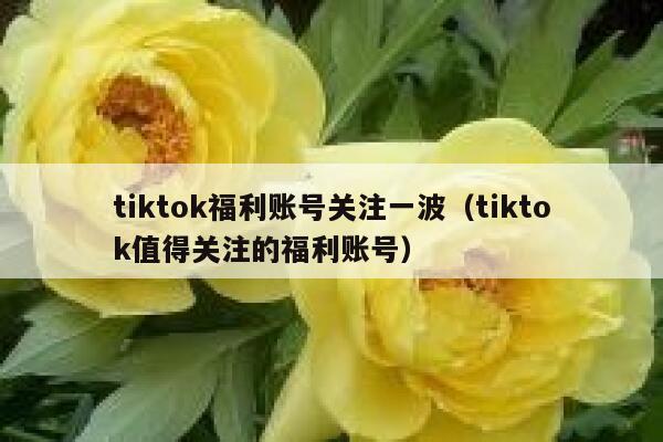 tiktok福利账号关注一波（tiktok值得关注的福利账号） 第1张