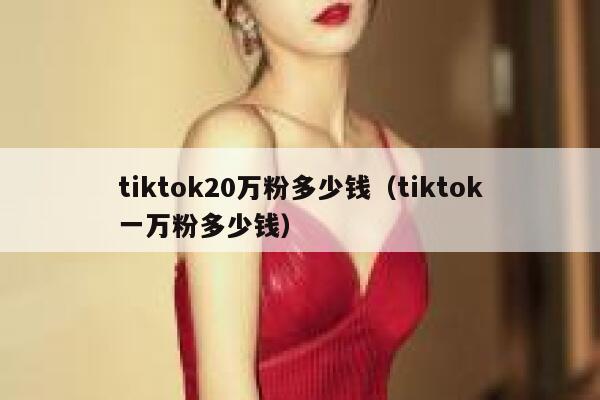 tiktok20万粉多少钱（tiktok一万粉多少钱） 第1张