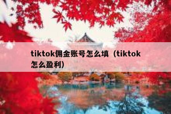 tiktok佣金账号怎么填（tiktok怎么盈利） 第1张