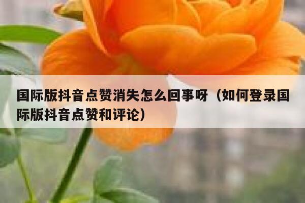 国际版抖音点赞消失怎么回事呀（如何登录国际版抖音点赞和评论） 第1张