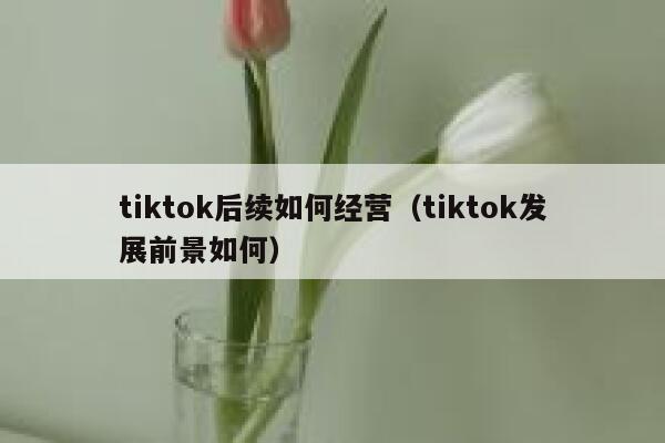 tiktok后续如何经营（tiktok发展前景如何） 第1张