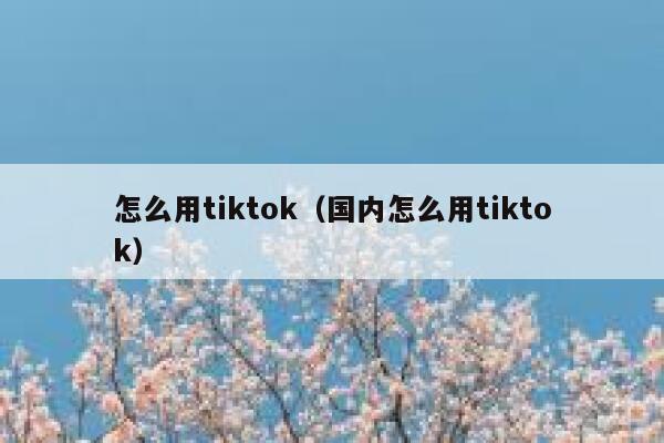 怎么用tiktok(国内怎么用tiktok) 第1张 怎么用tiktok(国内怎么用tiktok) 第1张
