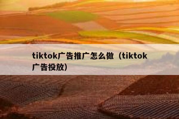 tiktok广告推广怎么做(tiktok广告投放) 第1张 tiktok广告推广怎么做(tiktok广告投放) 第1张