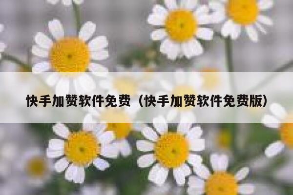 快手加赞软件免费（快手加赞软件免费版） 第1张