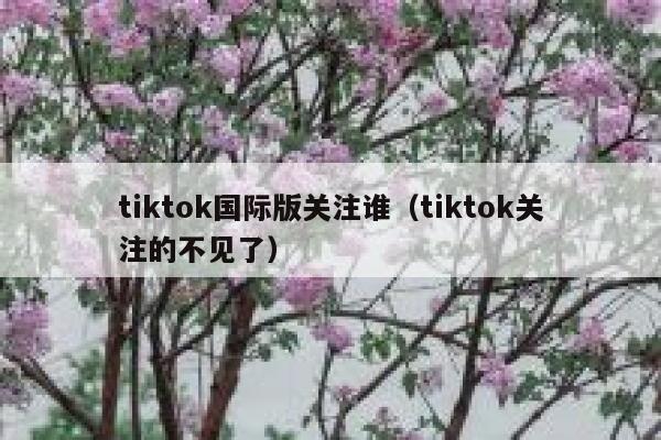 tiktok国际版关注谁（tiktok关注的不见了） 第1张