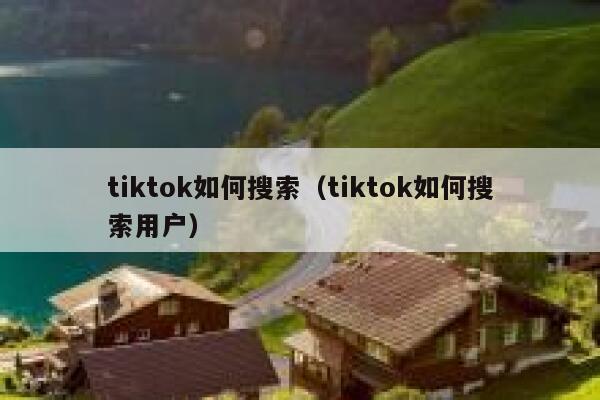 tiktok如何搜索（tiktok如何搜索用户） 第1张