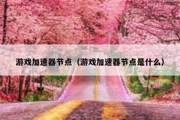 游戏加速器节点（游戏加速器节点是什么） 第1张