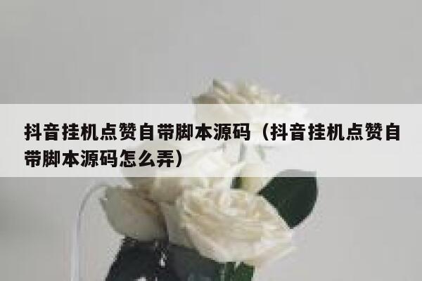 抖音挂机点赞自带脚本源码（抖音挂机点赞自带脚本源码怎么弄） 第1张