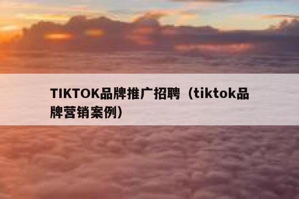 TIKTOK品牌推广招聘（tiktok品牌营销案例） 第1张