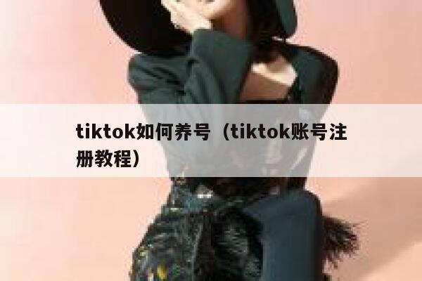 tiktok如何养号(tiktok账号注册教程) 第1张 tiktok如何养号(tiktok账号注册教程) 第1张