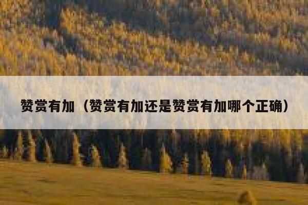 赞赏有加（赞赏有加还是赞赏有加哪个正确） 第1张