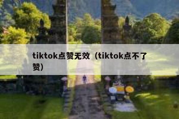tiktok点赞无效（tiktok点不了赞） 第1张