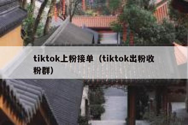 tiktok上粉接单（tiktok出粉收粉群） 第1张