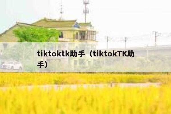 tiktoktk助手（tiktokTK助手） 第1张
