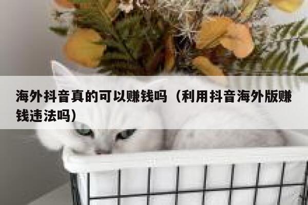 海外抖音真的可以赚钱吗（利用抖音海外版赚钱违法吗） 第1张