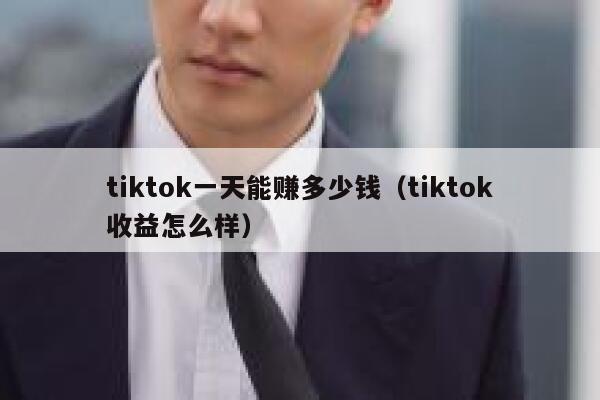 tiktok一天能赚多少钱（tiktok收益怎么样） 第1张