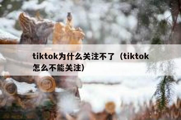 tiktok为什么关注不了（tiktok怎么不能关注） 第1张