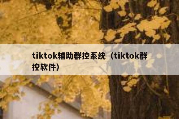 tiktok辅助群控系统（tiktok群控软件） 第1张