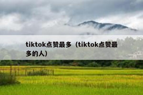 tiktok点赞最多（tiktok点赞最多的人） 第1张