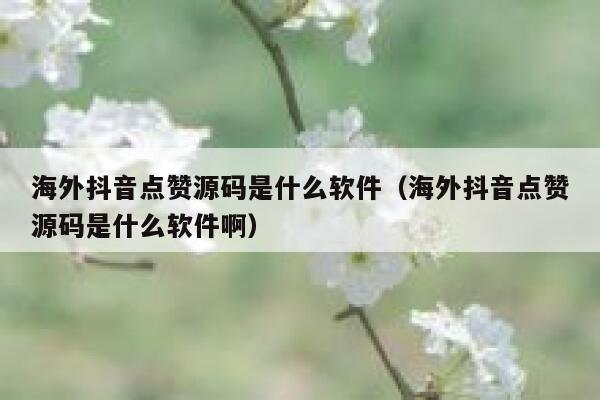 海外抖音点赞源码是什么软件(海外抖音点赞源码是什么软件啊) 第1张 海外抖音点赞源码是什么软件(海外抖音点赞源码是什么软件啊) 第1张