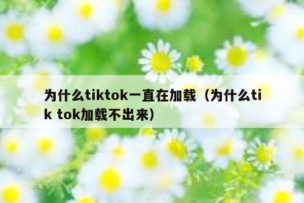 为什么tiktok一直在加载（为什么tik tok加载不出来） 第1张