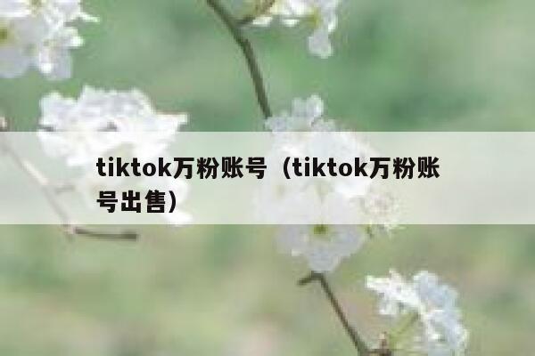 tiktok万粉账号（tiktok万粉账号出售） 第1张