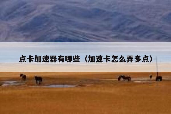 点卡加速器有哪些（加速卡怎么弄多点） 第1张