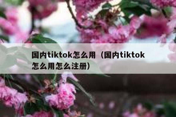 国内tiktok怎么用(国内tiktok怎么用怎么注册) 第1张 国内tiktok怎么用(国内tiktok怎么用怎么注册) 第1张