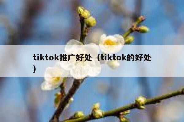 tiktok推广好处（tiktok的好处） 第1张