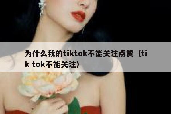 为什么我的tiktok不能关注点赞（tik tok不能关注） 第1张