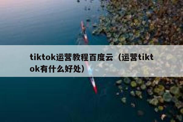 tiktok运营教程百度云（运营tiktok有什么好处） 第1张