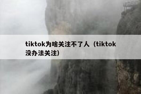 tiktok为啥关注不了人（tiktok没办法关注） 第1张