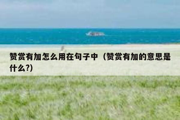 赞赏有加怎么用在句子中(赞赏有加的意思是什么?) 第1张 赞赏有加怎么用在句子中(赞赏有加的意思是什么?) 第1张