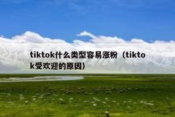 tiktok什么类型容易涨粉（tiktok受欢迎的原因） 第1张