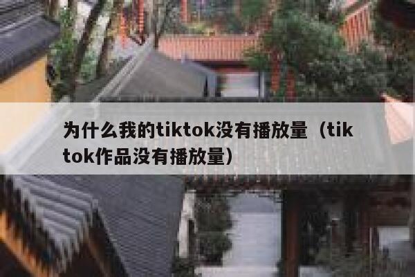 为什么我的tiktok没有播放量（tiktok作品没有播放量） 第1张