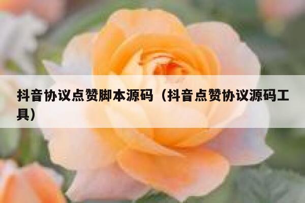 抖音协议点赞脚本源码(抖音点赞协议源码工具) 第1张 抖音协议点赞脚本源码(抖音点赞协议源码工具) 第1张