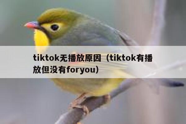 tiktok无播放原因（tiktok有播放但没有foryou） 第1张