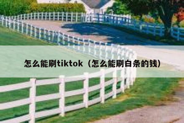 怎么能刷tiktok（怎么能刷白条的钱） 第1张