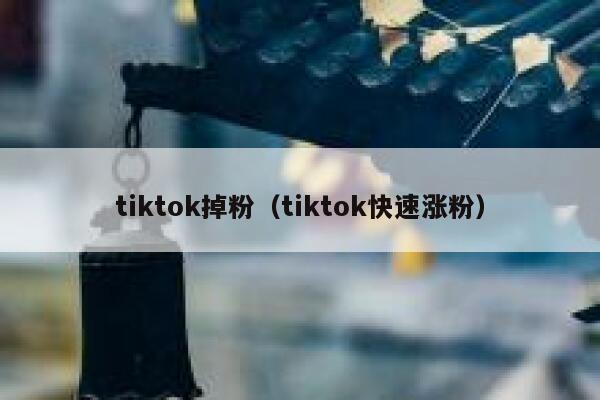 tiktok掉粉（tiktok快速涨粉） 第1张